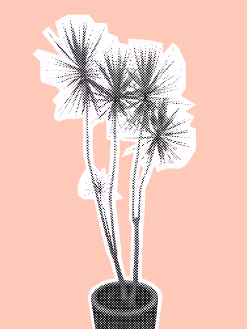 Item #25379124807980713745219244606437574046087384809022650852355167107122865373185 Media