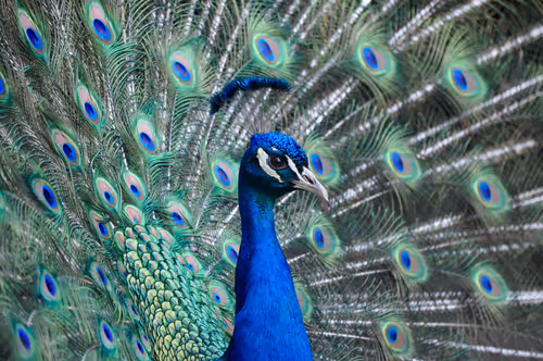 Item #106870078454534698311606461225664382982354268042883800261475775716700175990785 Media