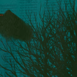 The Mothman 