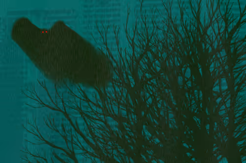 Item #83201474306967123093872094973450030367343354318646489432205266928308185989121 Media