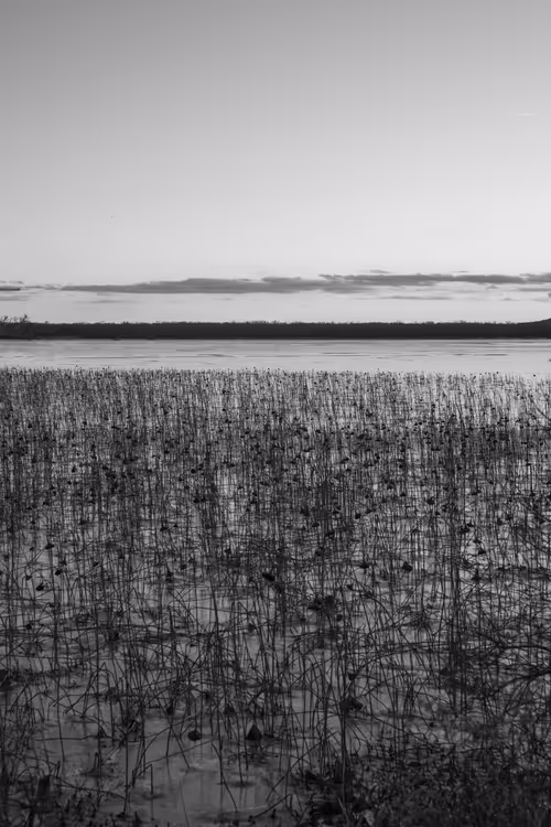 Item #19684374529110288056520570276703370007863893692966726326193838119592929525761 Media