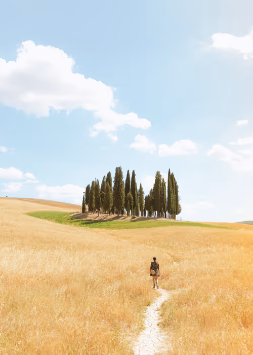 Item #21886040770137124033312785381749412311188461692570265034463825876982731636746 Media