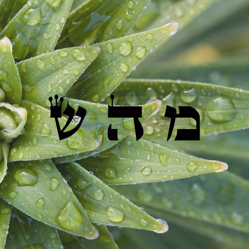 Item #60261209402415139582755570421670089329548312864668202741056927142287572467713 Media