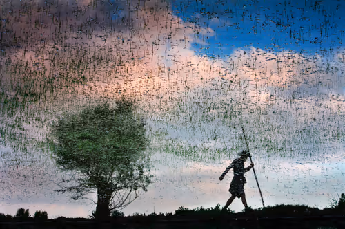 Item #21360135595636761708002264298030741123237362591555506440031731750479551528961 Media