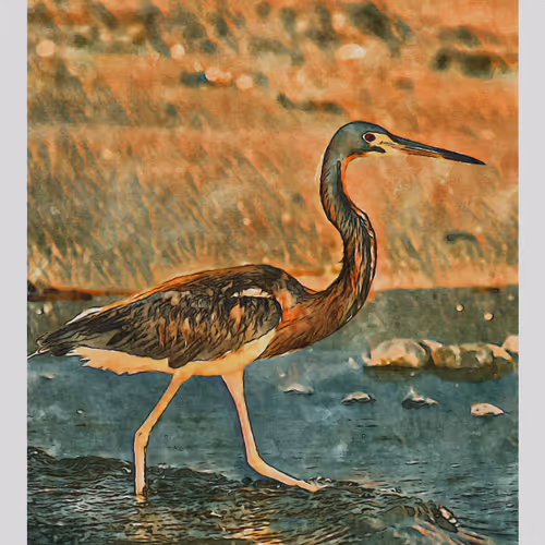 55704534837685659622621715309832868758345944585427688586690141443251645710337