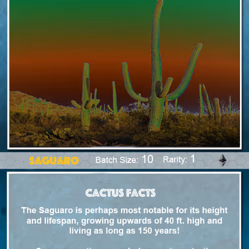 Crypto Cacti Trading Cards