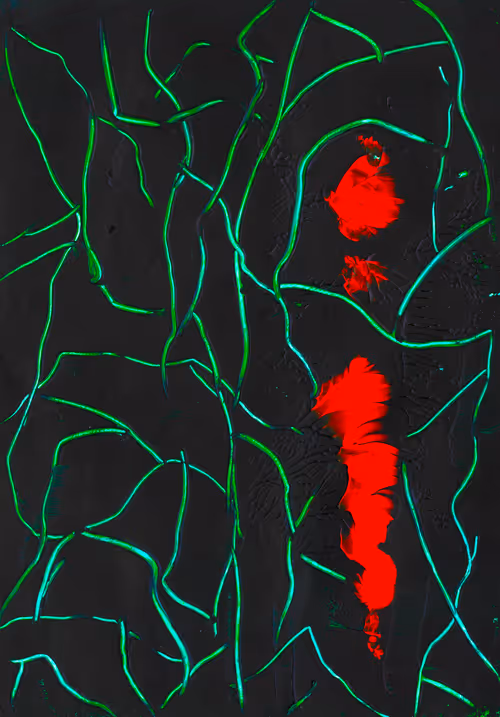 Item #20526999620302922840044707466191385135131666513838081449283783912950624944129 Media