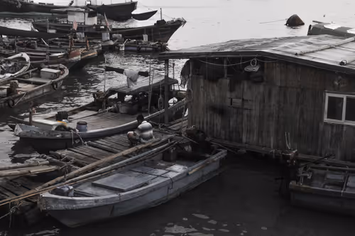 Item #99232647957530401974121800772488763716375257992353457564618319154128319676417 Media