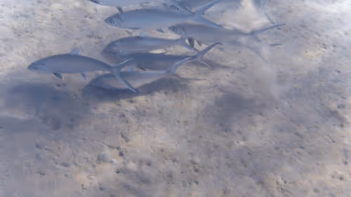 Item #32522392328516293709208538786472574869311995244495637720412795693729822277637 Media