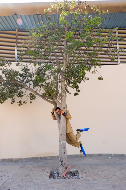 Item #4513353140435915256927038014390726780334549173447047818238800782153046032385 Media