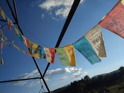 Matthieu- Collection