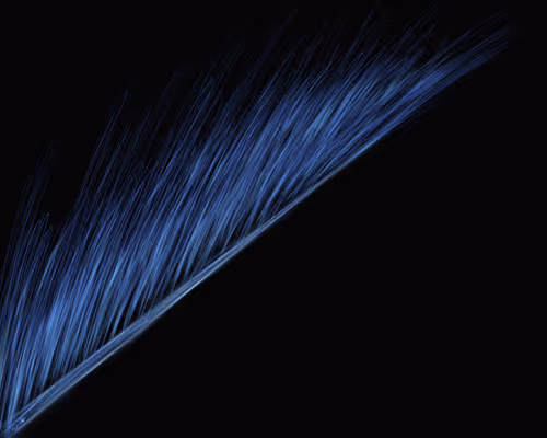 Item #64515795529198953580537894764101498903184970537215321722121714032360294449153 Media