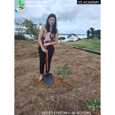 Item #8500196597889277390194123329501889087166328879864934763448348734655872106497 Media