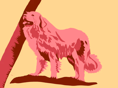 Item #86286569011672249143581902672238150923937334210812916089856769933865337749505 Media