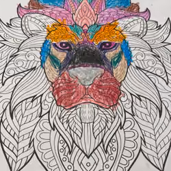Floor Lion