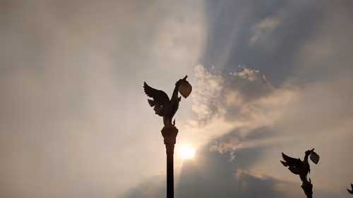 Item #79713203318427151500425127897516188982534148841473779850876404377201917558785 Media