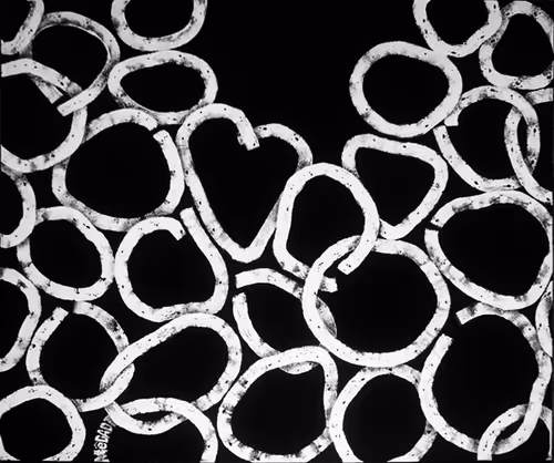 Item #19348387886638314608226308073204764497624528496557652038344455854777228591105 Media