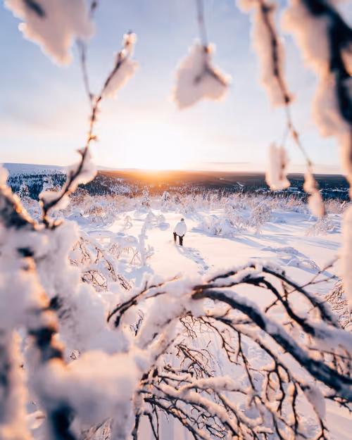 Item #14416656700475663864726672344569766568452912279528818547653479119736518213633 Media