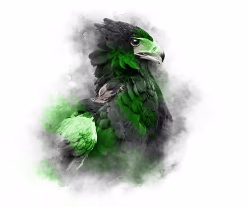 Item #59088353916634911645199901135540098457890710800918991321684793781091347464217 Media