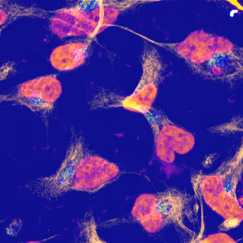 Item #42481498089717513961394482866849979367074933569204684563891551441238529933313 Media