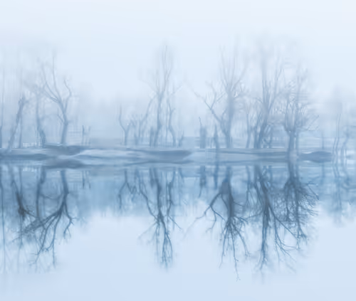 Item #100125324817140700473098673733568876555088890877521994710768706060608142835713 Media