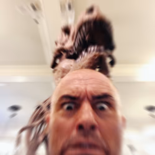 Item #29146234931066261342780587366138583923739914674049911275976372410201143246849 Media
