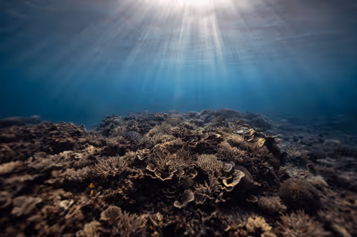 Item #99926930229538675438917090631619995362212113699001151744757174494717525622884 Media