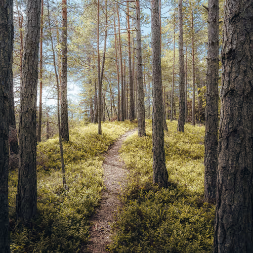 57838873307730799033635906984496396884478891164141472861664138680424313389066