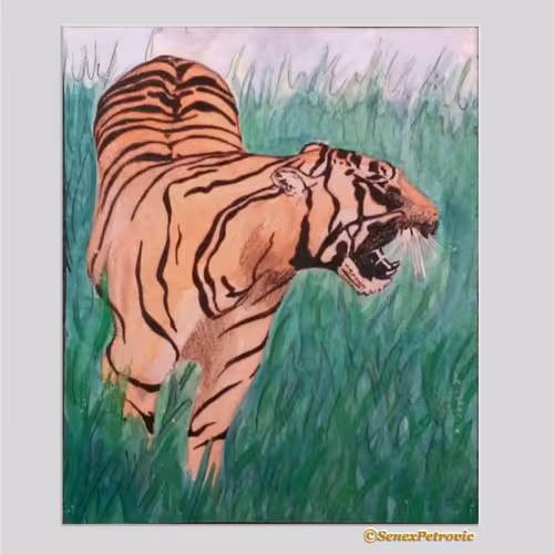 81703717885701679420244426985503748541742411620896309859703145899098388824065