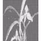 [Vertical] .·¨༺ ꙳⸌♡⸍꙳ ༻¨·. Ascii [ Generative Art ] ㅡ XNLKX VIA THE SS1