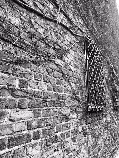 Item #35811020408419316992194676443438384062467997144569780966397288061545922691073 Media