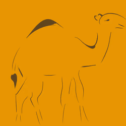 Camel