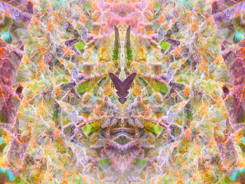 Item #83970981387443879143921485150900069530799783516997234463864977530389262237697 Media