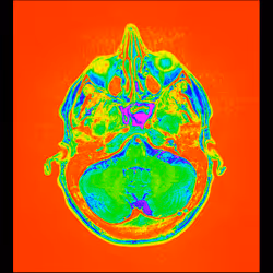 64162533542198579898252916190583583845604629893829087458582975930510459535361