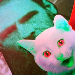 4747115153065902387790593868107453782499677024781155622119190032382869635073