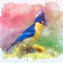 BIRD