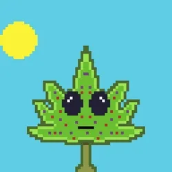 Smoking Buddy