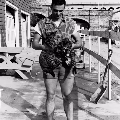 103869953884735727563221393256320645863605690120870363676987596980766147346446