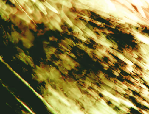 Item #71646257518770613568983710813551014237803002136866425209291833823983935946753 Media