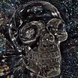 DISCO SKULL