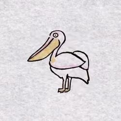 White pelican