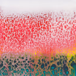 93517858934538610296799104720857224042243540248850289661824237427588794941441