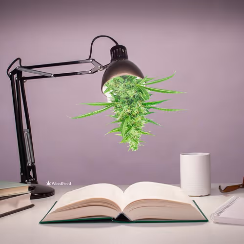 Item #276618171581163995688451181711762959038558310937804576463711735106919989249 Media