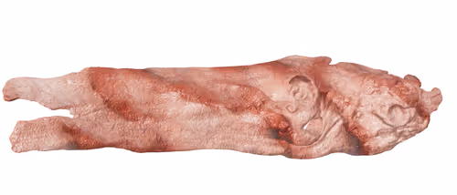 Item #22900232604420011537493696971111842688534829566160071035010649920540944367617 Media