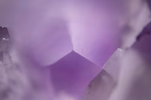 Item #66707676080978551838263520702754250537377931787813102231396956337490672746497 Media