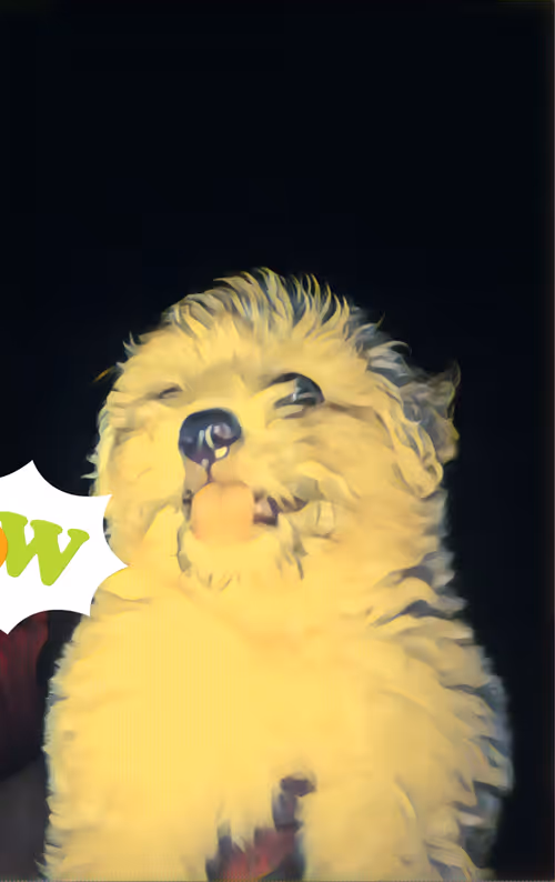 Item #110213645020075302487079303023421545584770299765815398461250951472379273936897 Media