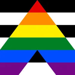 The Straight Ally flag