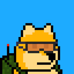 Dooggie #557