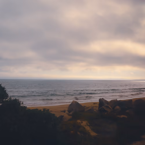 Beyond the Sea