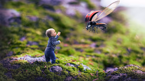 Item #52303462392736441956966373402815996394692190562579771602398132508791169613825 Media